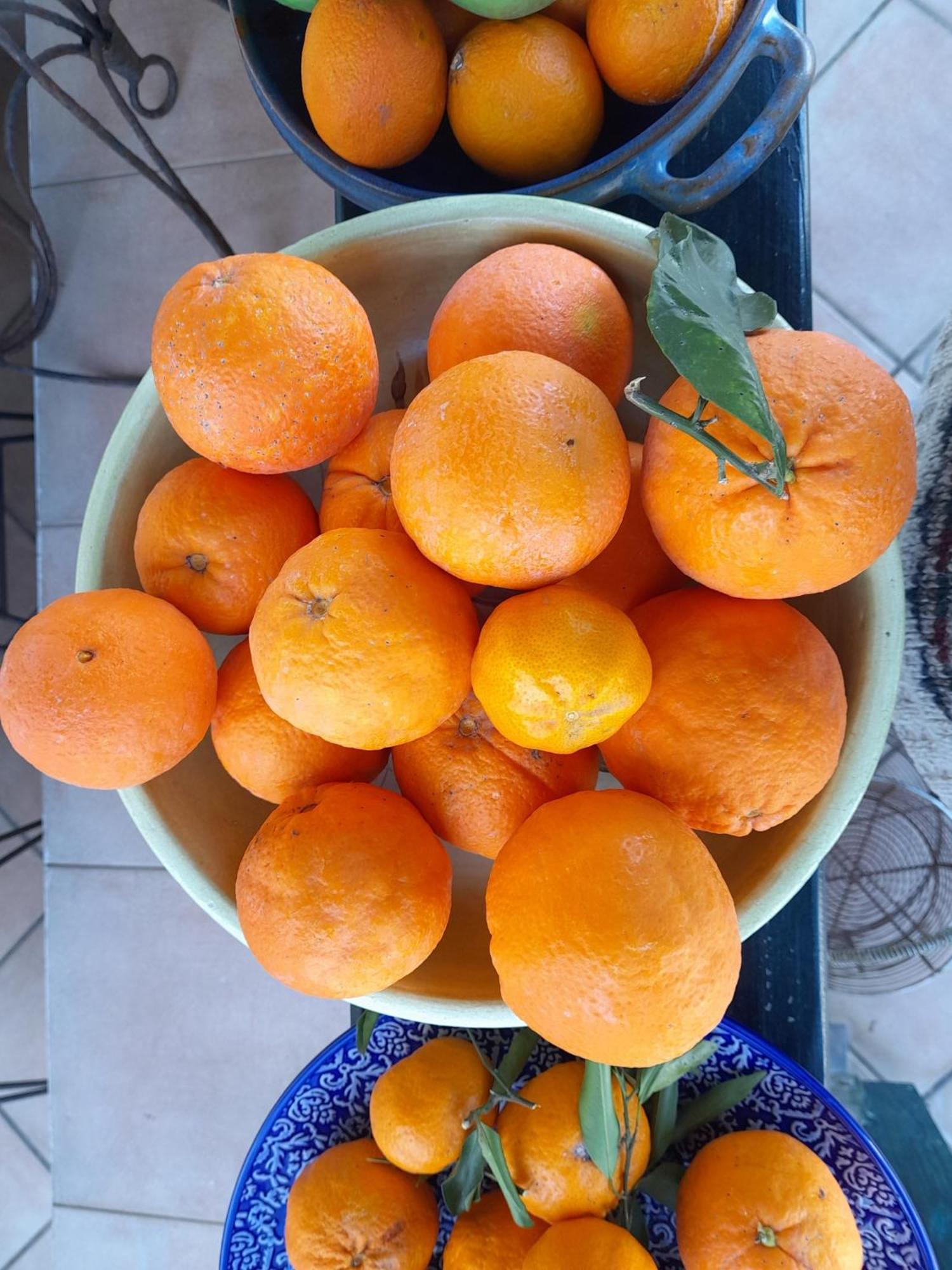 Appartamento Rethymno Panorama Heights Esterno foto